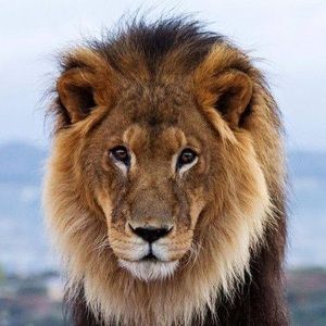 Meet your Posher, Jeff